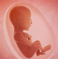 Phát hiện bằng chứng đầu tiên về phản ứng với mùi vị của thai nhi