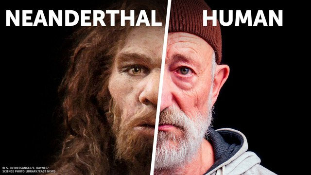 Tại sao người Neanderthal lại thất bại trong cuộc chiến sinh tồn?