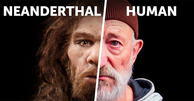 Tại sao người Neanderthal lại thất bại trong cuộc chiến sinh tồn ...