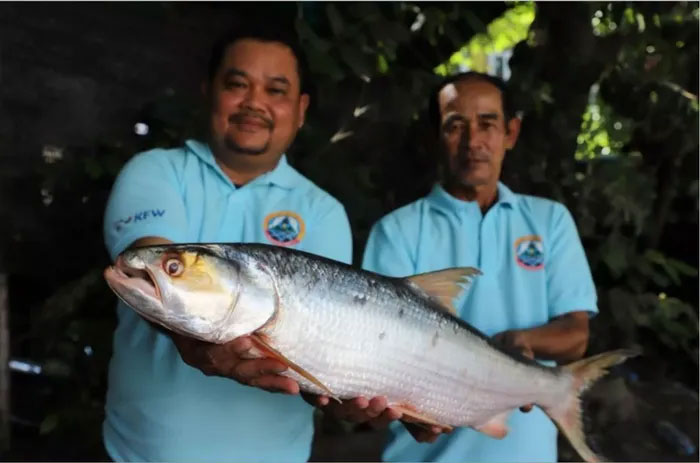  Cá chép khổng lồ có biệt danh là "Ma sông Mekong" vừa được tìm thấy ở Campuchia. 