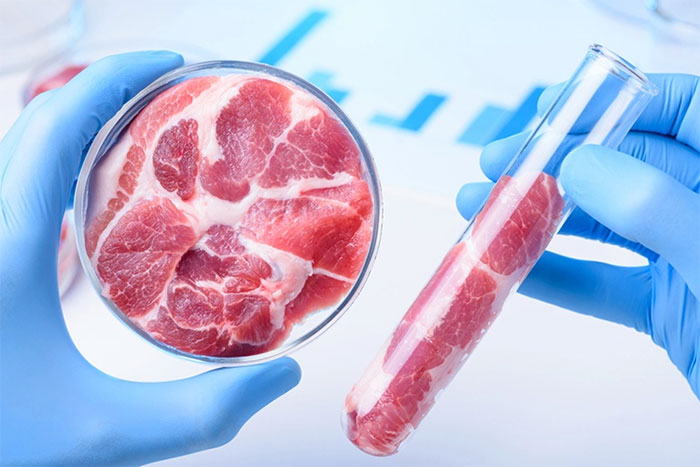Sản xuất thịt nhân tạo bằng từ trường, các nhà khoa học Singapore đạt được đột phá ấn tượng