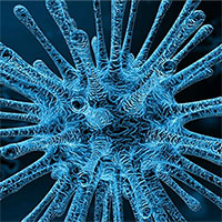 Một virus khỉ khác đang sẵn sàng lây sang người