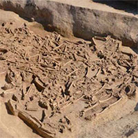 Ngôi mộ tập thể 7.000 năm chứa hơn 30 hài cốt không đầu