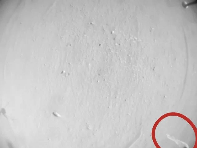 Phi thuyền NASA bị vướng mảnh rác giống như giấy vệ sinh