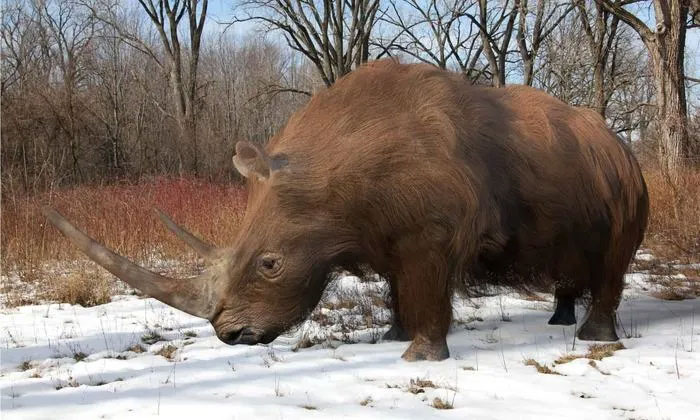 Khám phá loài tê giác cổ đại nặng tới gần 3 tấn với chiếc sừng dài tới 1,5 mét