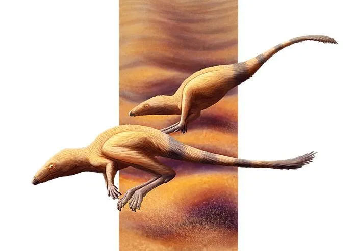 Scleromochlus taylori: Loài bò sát tí hon của kỷ Trias, có họ hàng gần với Pterosaurs