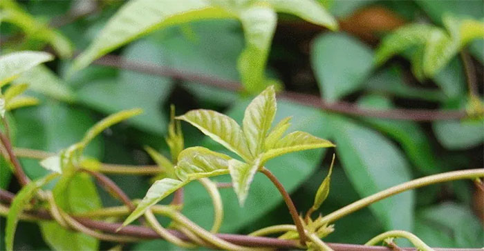 Làm thế nào để cảm nhận được Trái đất quay mỗi ngày? Hãy quan sát 4 hiện tượng này nhé!