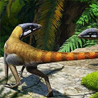 Scleromochlus taylori: Loài bò sát tí hon của kỷ Trias, có họ hàng gần với Pterosaurs