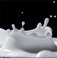 Vì sao sữa tổng hợp sẽ là thực phẩm tương lai?