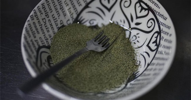 Đặc sản "trứng bay" độc nhất vô nhị của Mexico: Thu hoạch kỳ công và nỗi lo bị biến mất theo thời gian