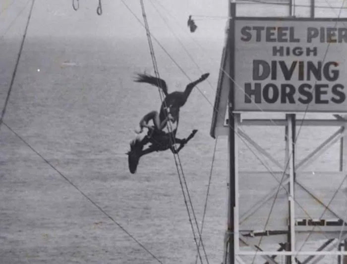 Ngựa lặn: Môn thể thao nguy hiểm, tàn nhẫn ở thế kỷ 19 ảnh 4
