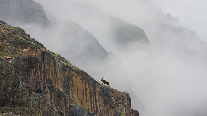 Đỉnh Everest và lịch sử chết chóc của nóc nhà thế giới