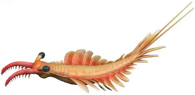 Cua cổ đại từng gieo rắc 