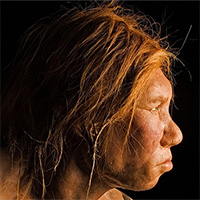 Nghiên cứu mới: Người hiện đại và người Neanderthal đã từng "vay mượn công nghệ" để cùng tồn tại