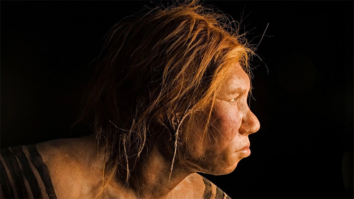 Nghiên cứu mới: Người hiện đại và người Neanderthal đã từng 