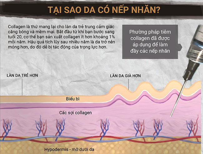 Sự lão hóa dưới góc nhìn khoa học