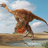 Hóa thạch tiết lộ loài khủng long giống đà điểu nặng 800kg