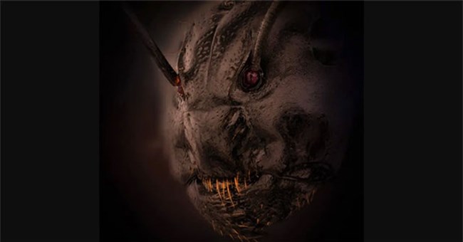 Bất ngờ với bức ảnh chụp cận mặt con kiến