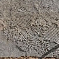 Phát hiện phù điêu cổ niên đại 2.700 năm ở Iraq