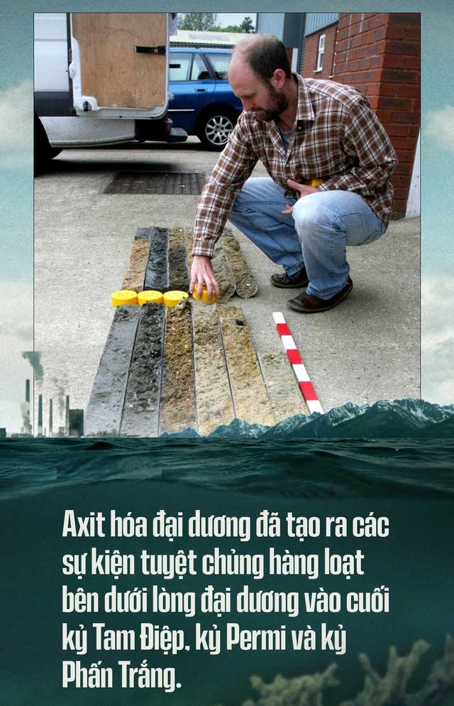 Biển hấp thụ 22 triệu tấn CO2 mỗi ngày, chúng đang làm tan vỏ hàu, tẩy trắng san hô, đại dương bị axit hóa