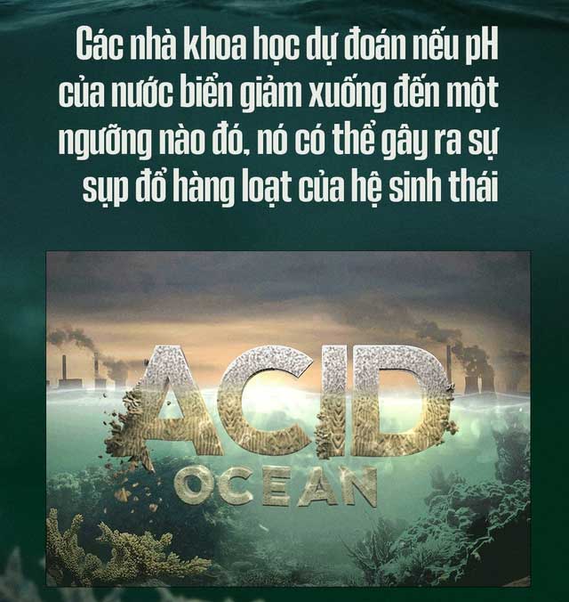 Biển hấp thụ 22 triệu tấn CO2 mỗi ngày, chúng đang làm tan vỏ hàu, tẩy trắng san hô, đại dương bị axit hóa