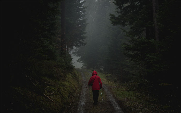 Đi bộ trong rừng dưới trời mưa lớn có tác dụng cải thiện sức khỏe không ngờ.