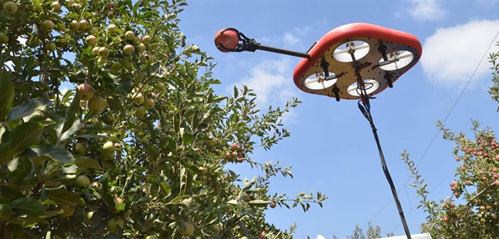 Robot bay có thể thay thế nhân công thu hoạch trái cây