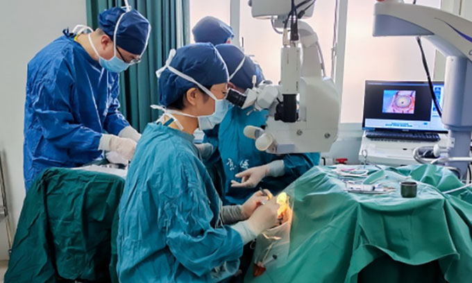 Trung Quốc cấy ghép thành công nội tạng lợn trên khỉ