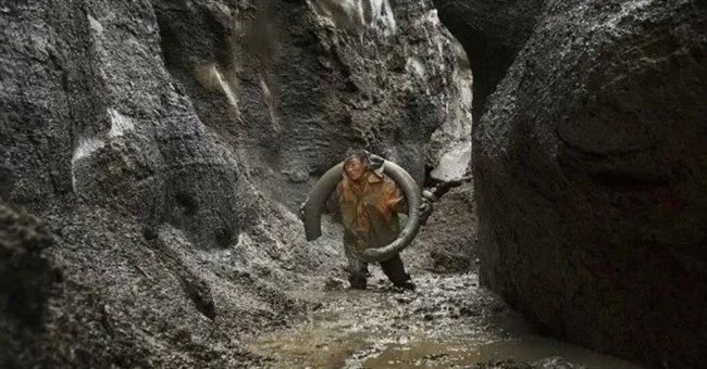 Nghề "đào xác động vật cổ đại" cho thu nhập cao nhưng không phải ai cũng dám làm