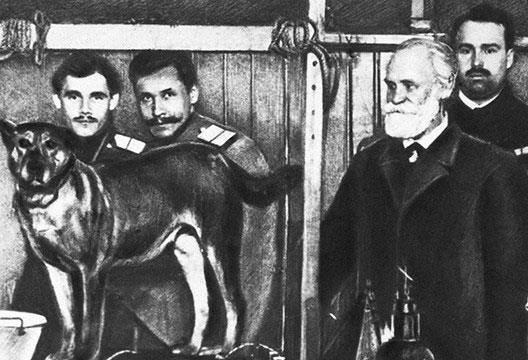 Con chó của Pavlov: Thử nghiệm cách mạng hóa tâm lý học
