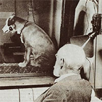 Con chó của Pavlov: Thử nghiệm cách mạng hóa tâm lý học