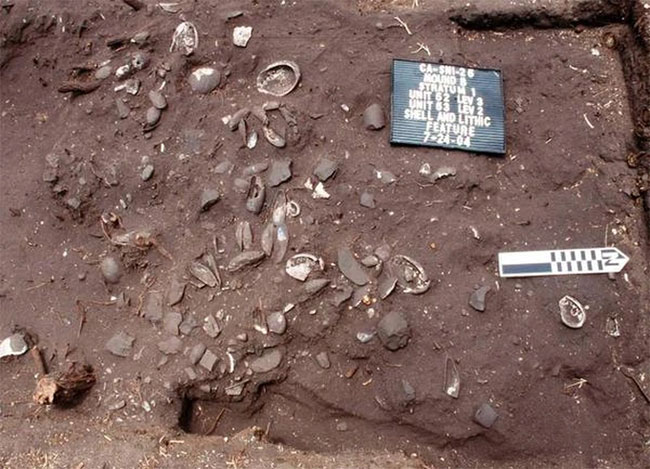  Một gò đất chứa những vỏ sò được nhóm các nhà khảo cổ phát hiện trên đảo San Nicolas.