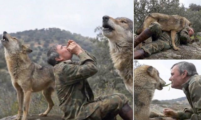 After everything he went through, Marcos did not wish to return to human society.