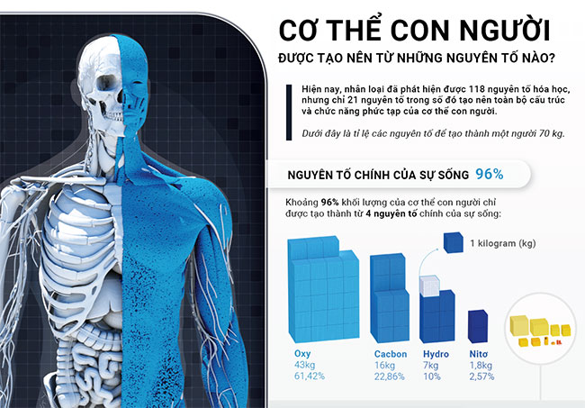 Cơ thể con người được tạo nên từ những nguyên tố nào?
