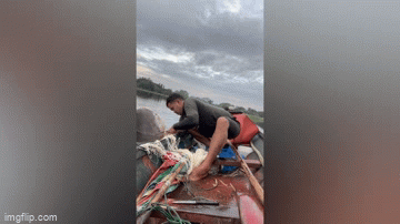 Video: Ngư dân bắt được cá khổng lồ nặng 150kg trên sông Mekong