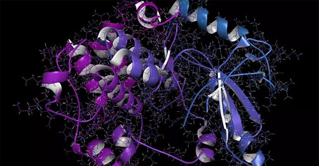 AI mới của Meta dự đoán hình dạng của 600 triệu protein mà giới khoa học chưa hề biết đến