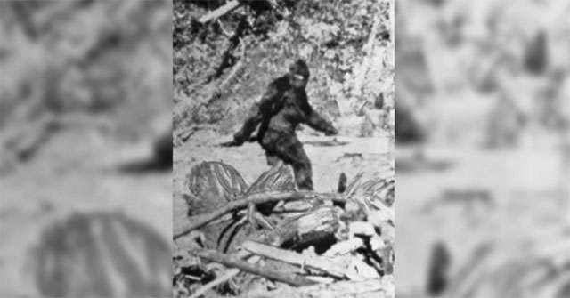 Đến nay, các nhà khoa học vẫn trăn trở với câu hỏi: Quái vật Bigfoot có thật không?