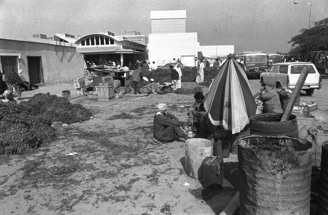  Đây là một phần của khu chợ ngoài trời của Doha vào năm 1977. 