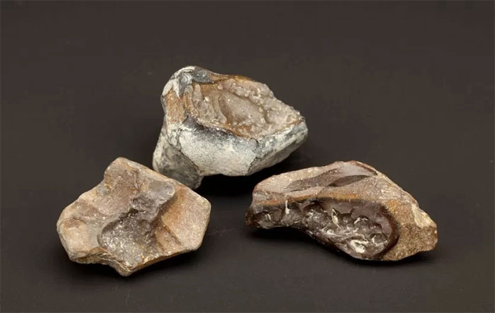 Những hòn đá 790.000 năm tuổi được tìm thấy tại Israel năm 2004, trên mình mang dấu vết của lửa