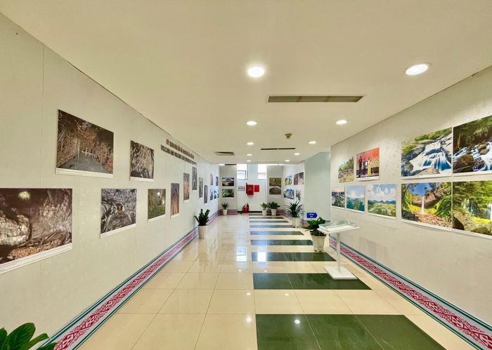 Tận thấy di cốt người tiền sử trong hang động núi lửa Đắk Nông