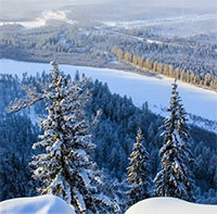 Cảnh báo rùng mình về "thây ma" Siberia hồi sinh sau 50.000 năm đóng băng