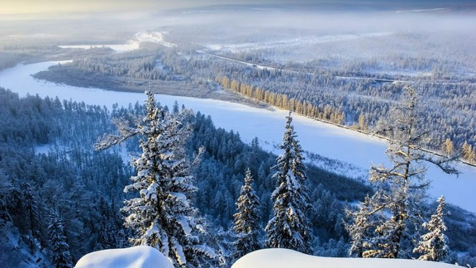 Cảnh báo rùng mình về “thây ma” Siberia hồi sinh sau 50.000 năm đóng băng