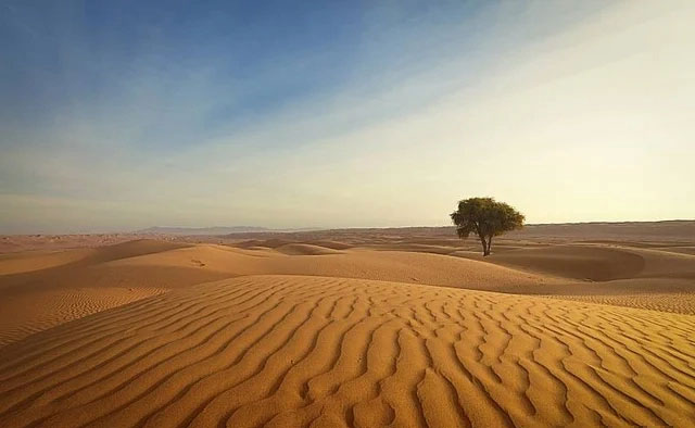 Sa mạc là một trong những dạng địa hình phổ biến ở Trung Quốc.