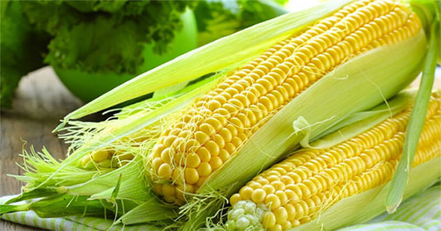 Lý do ăn ngô tốt cho sức khỏe