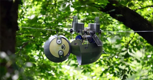 Robot "con lười" rất chậm chạp nhưng lại giúp bảo tồn hệ sinh thái