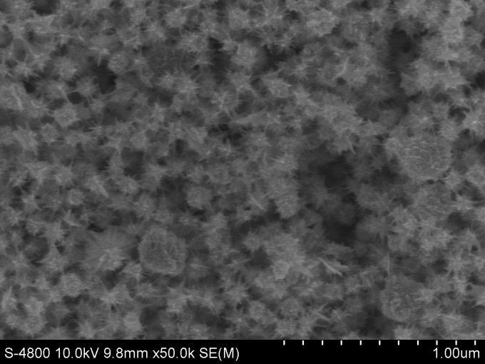 Nhà khoa học Việt nghiên cứu công nghệ diệt khuẩn từ nano vàng