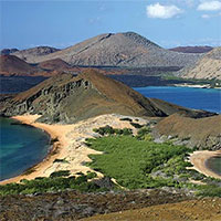 "Vũ khí bí mật" giúp Galápagos chống biến đổi khí hậu