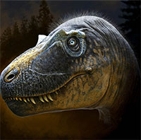 Hóa thạch 76,5 triệu năm tiết lộ tổ tiên của khủng long T-rex