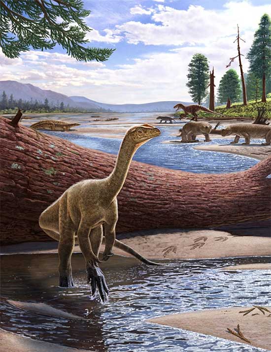 Phát hiện hóa thạch khủng long lâu đời nhất châu Phi