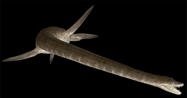 Siêu quái vật đầu rắn dài 10m, 100 triệu tuổi hiện hình ở Úc